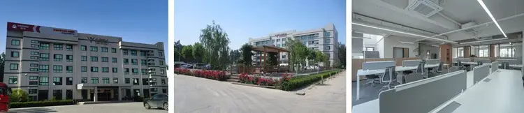 mobile common banner 01