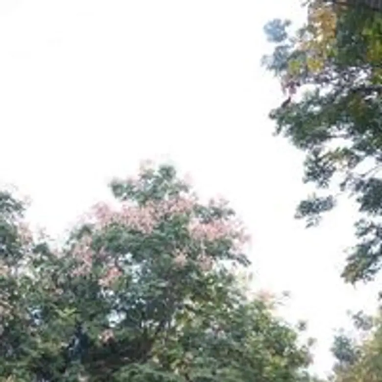 Are LiuGong Excavators Reliable?